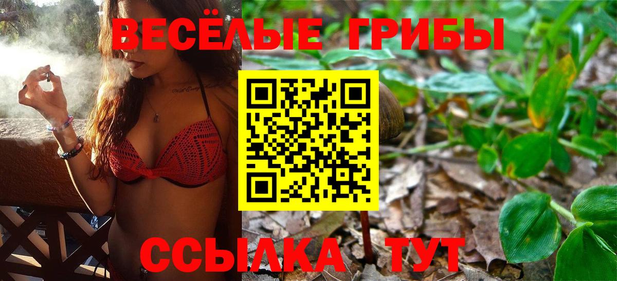 Галлюциногенные грибы Cubensis Пугачёв